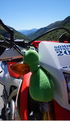 Froschi auch dabei - CRF250L
