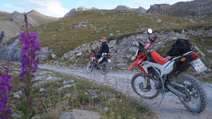 Honda CRF250L  Maira Stura